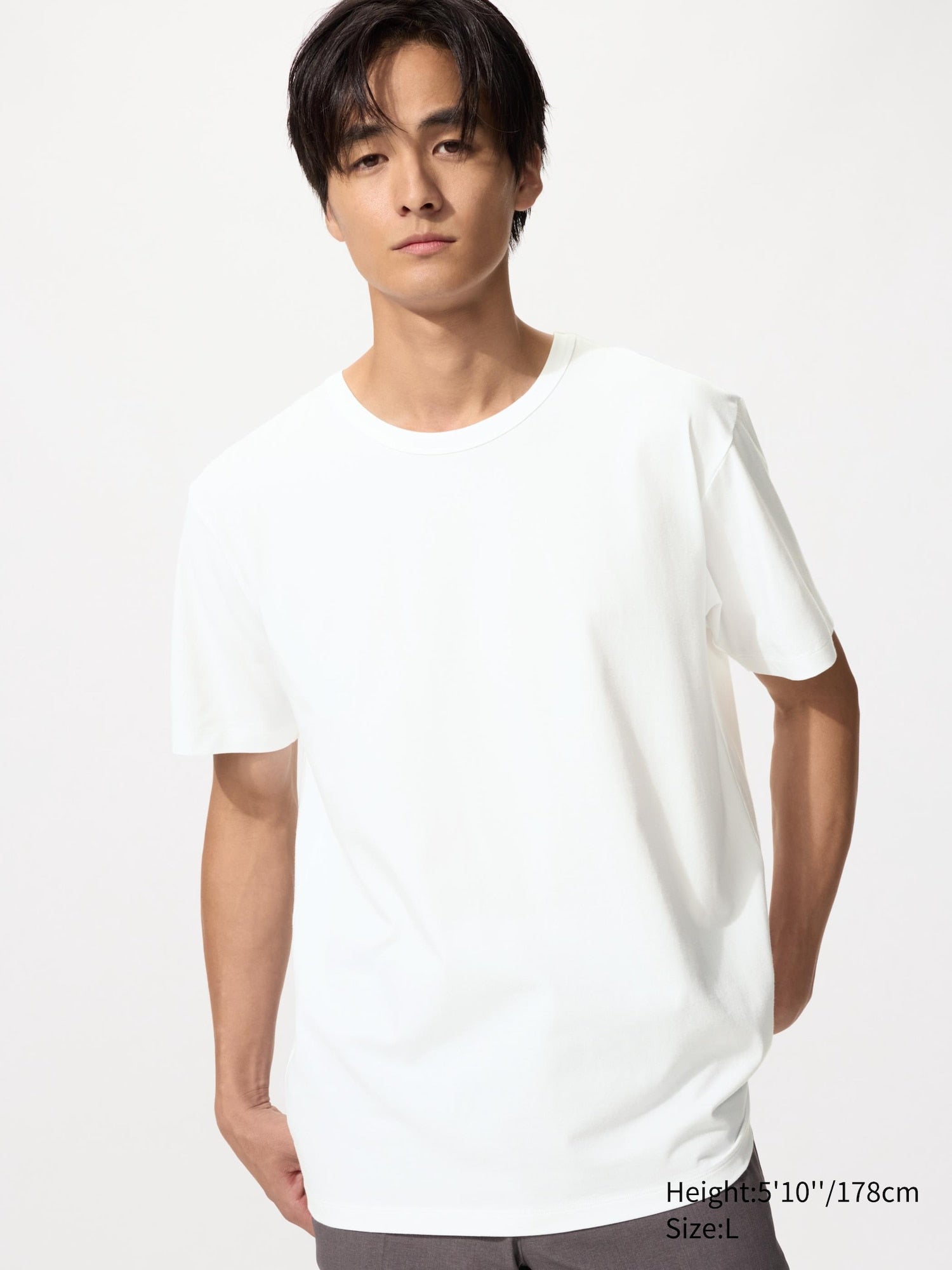 AIRism Cotton Crew Neck T-Shirt - WHITE