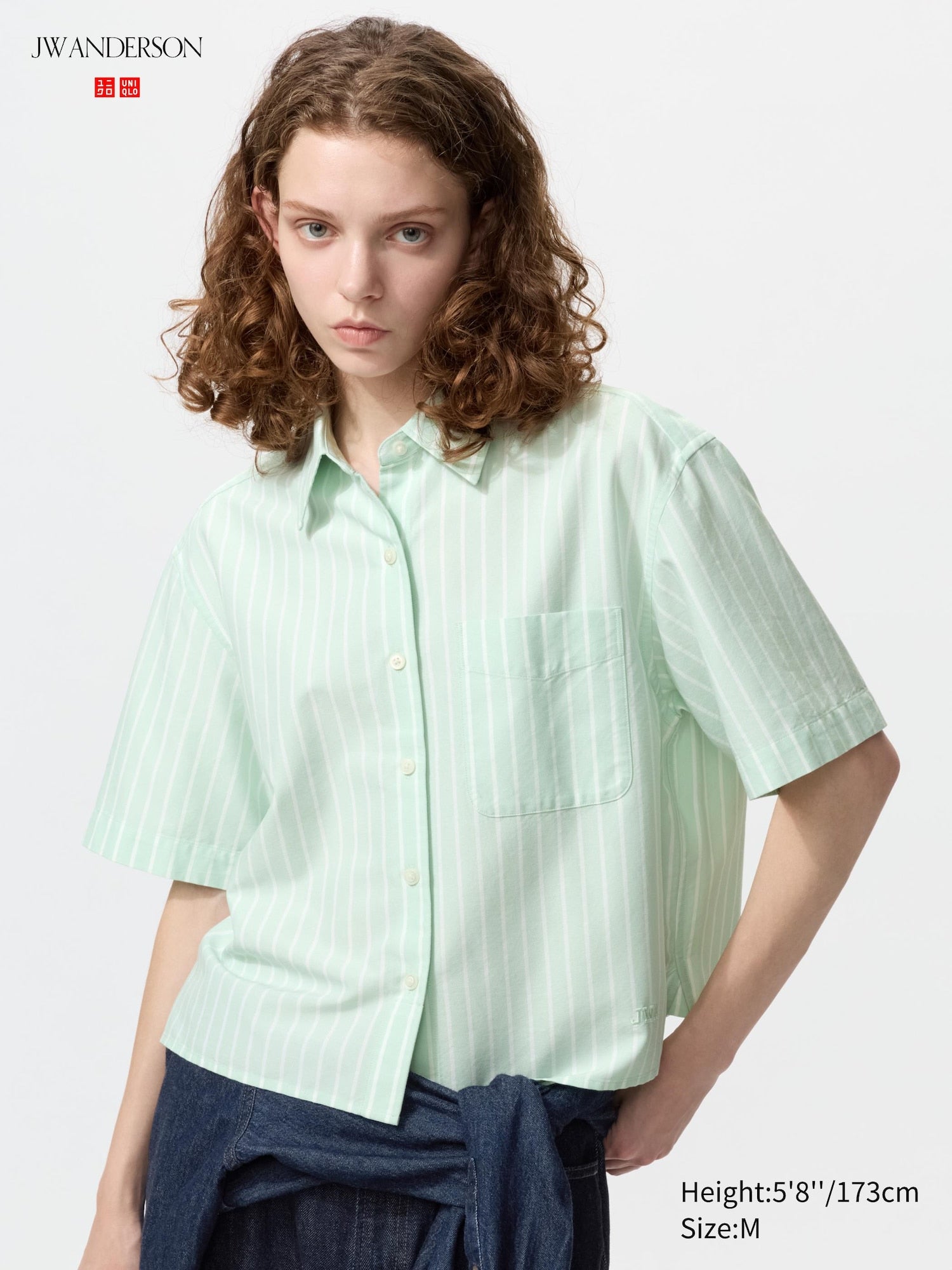 Oxford Boxy Shirt Short Sleeve Striped - GREEN