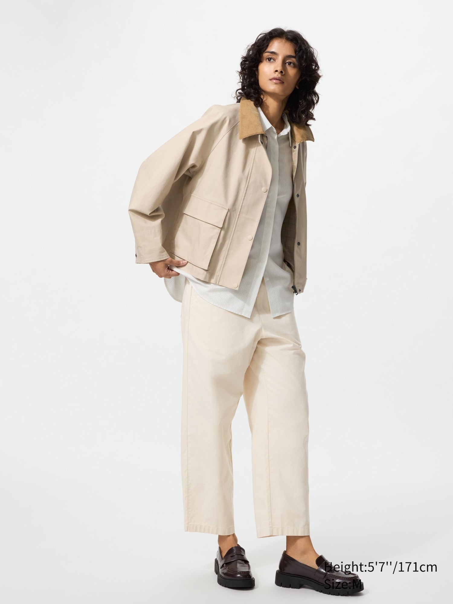 Cotton Relaxed Ankle Pants (Regular Length) - BLACK