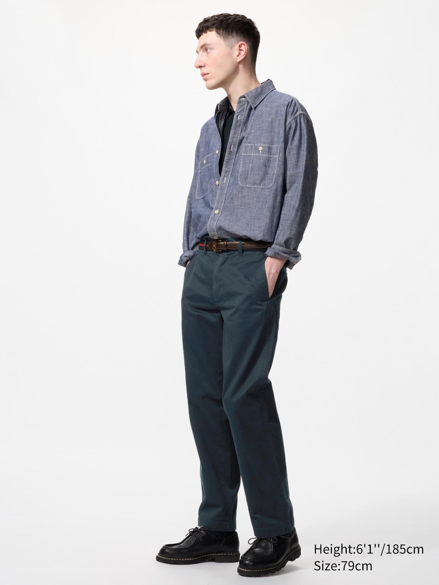 Regular Chino Pants - BROWN