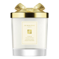 Pine & Eucalyptus Scented Candle (Holiday Limited Edition 2025)