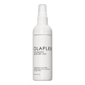 Volumizing Blow Dry Mist